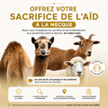 Zabiha d'un mouton