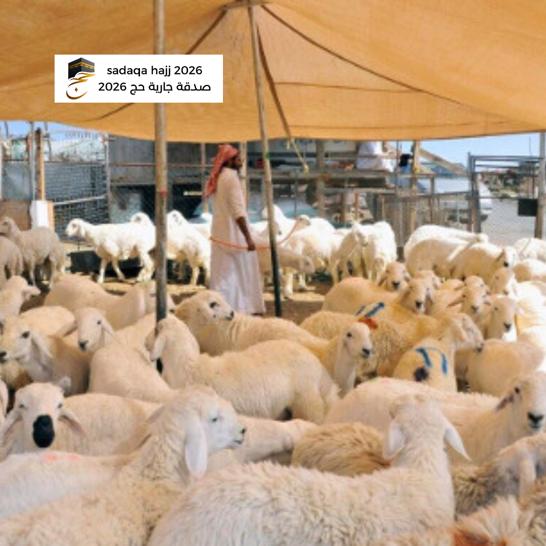 Zabiha d'un mouton